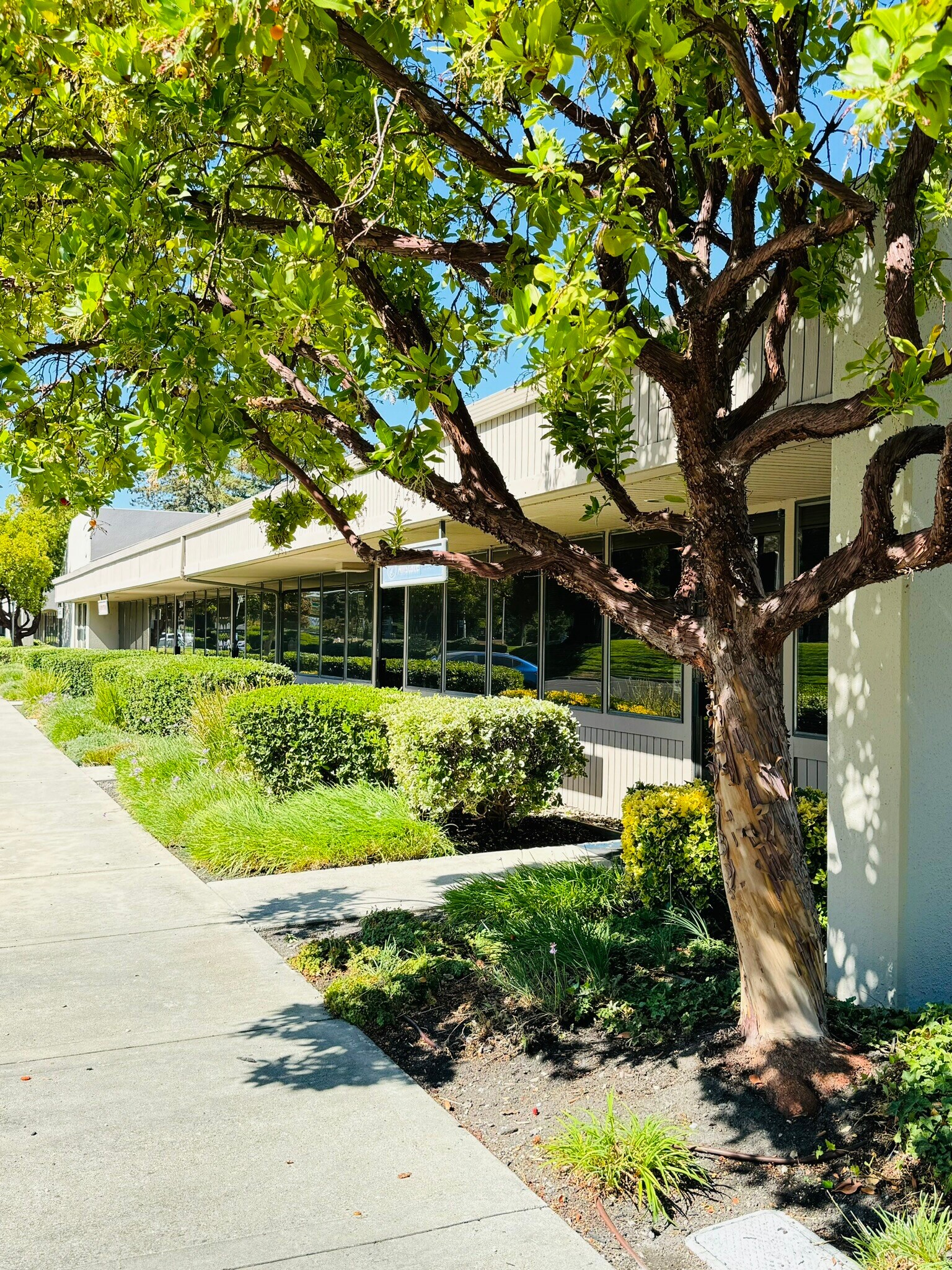 3375 Scott Blvd, Santa Clara, CA for Rent