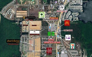 Tavares, FL Commercial Land - SR19 & Slim Haywood Ave