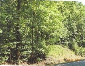 Riverdale, GA Commercial - Roberts Drive & Rountree Rd