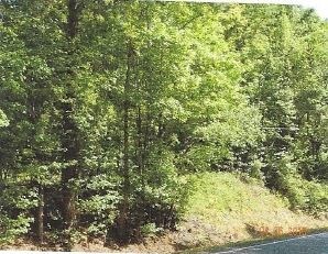 Roberts Drive & Rountree Rd, Riverdale, GA for Sale