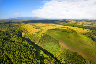 Papaikou, HI Agricultural - 27-5159 Puia Rd