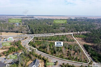 Richmond Hill, GA Commercial Land - GA Hwy 144 & Town Center Dr