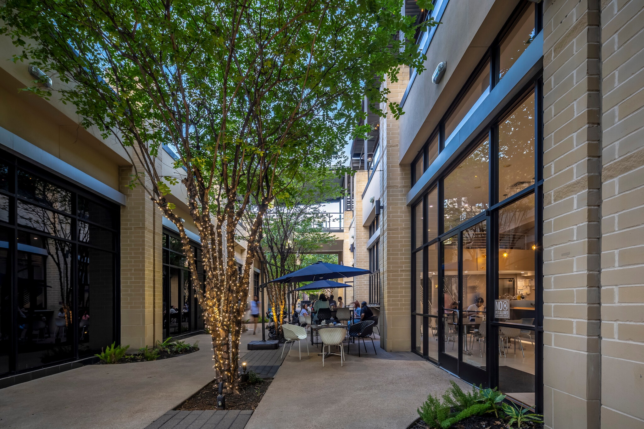 798 Sorella Ct, Houston, TX for Rent