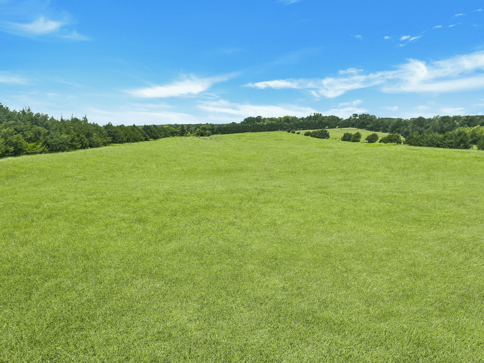 10468 County Road 493, Princeton, TX for Sale