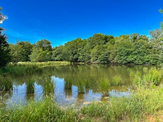 Telephone, TX Commercial - Intersection of FM 2029 and FM 409