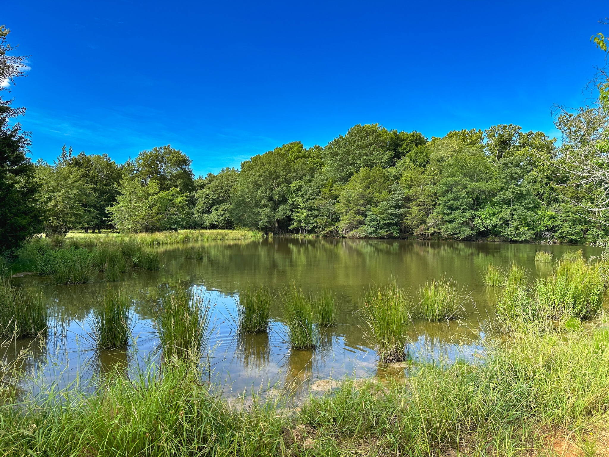 Intersection of FM 2029 and FM 409, Telephone, TX for Sale