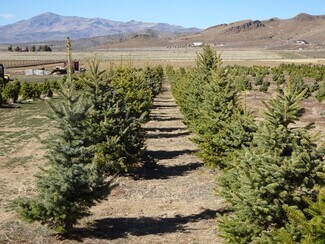 Reno, NV Agricultural - 3995 Bacon Rind Rd