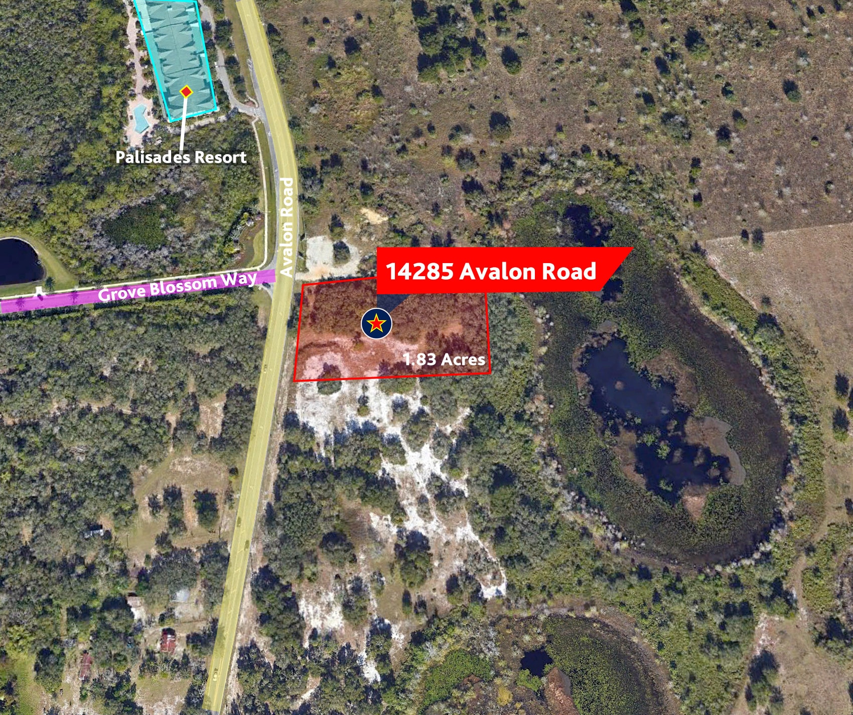 14285 Avalon Rd, Winter Garden, FL for Sale