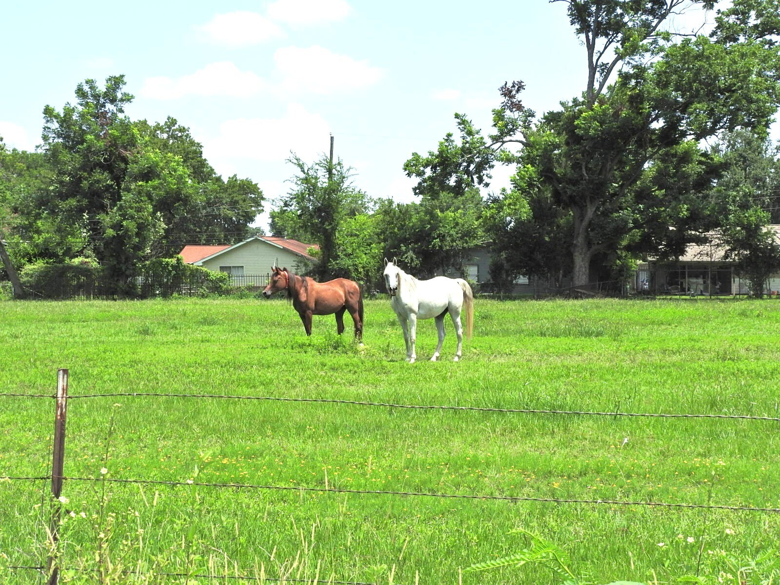 6100 Stuebner Airline Rd, Houston, TX for Sale