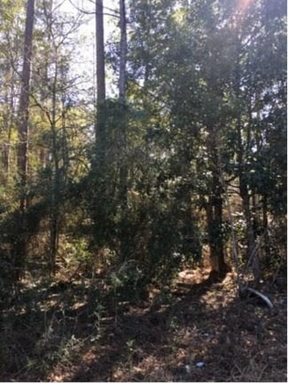 Slidell, LA Residential - Maple St