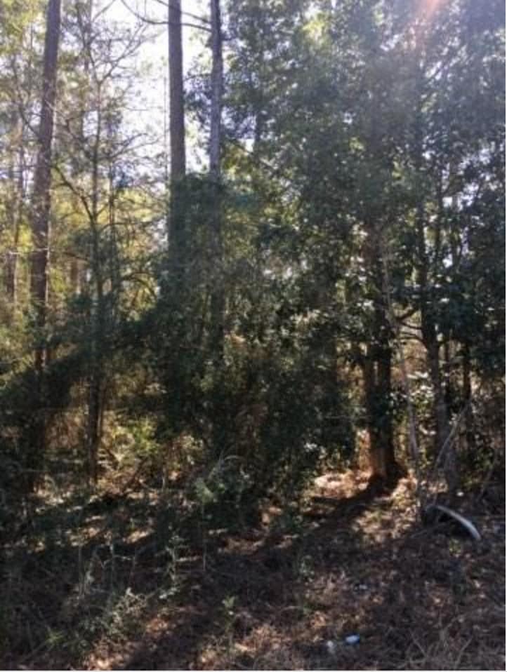 Maple St, Slidell, LA for Sale