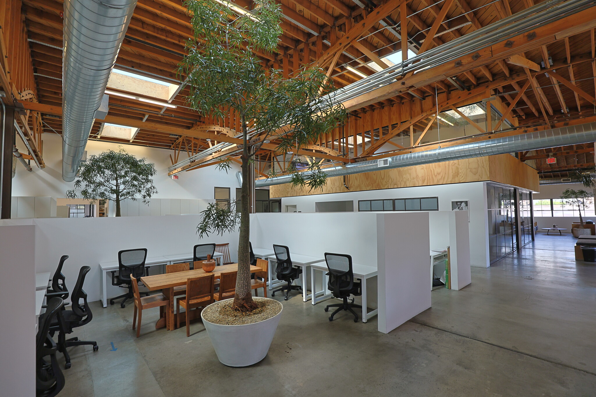 3578 Hayden Ave, Culver City, CA for Rent