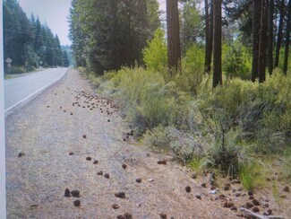 Chiloquin, OR Commercial Land - 227 Highway 422 Chiloquin, OR Commercial Land - 227 Highway 422