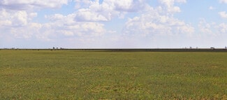 Dimmitt, TX Residential - 807 County Road 515