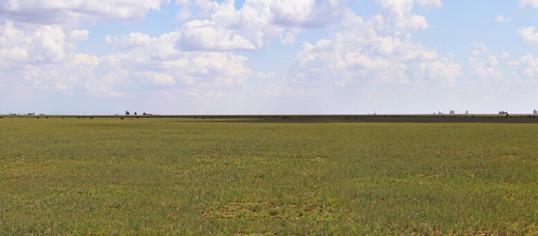 807 County Road 515, Dimmitt, TX for Sale