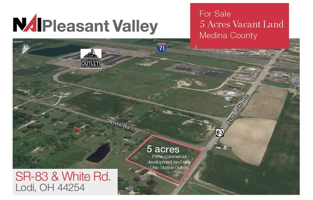 9787 Avon Lake Rd, Lodi, OH for Sale