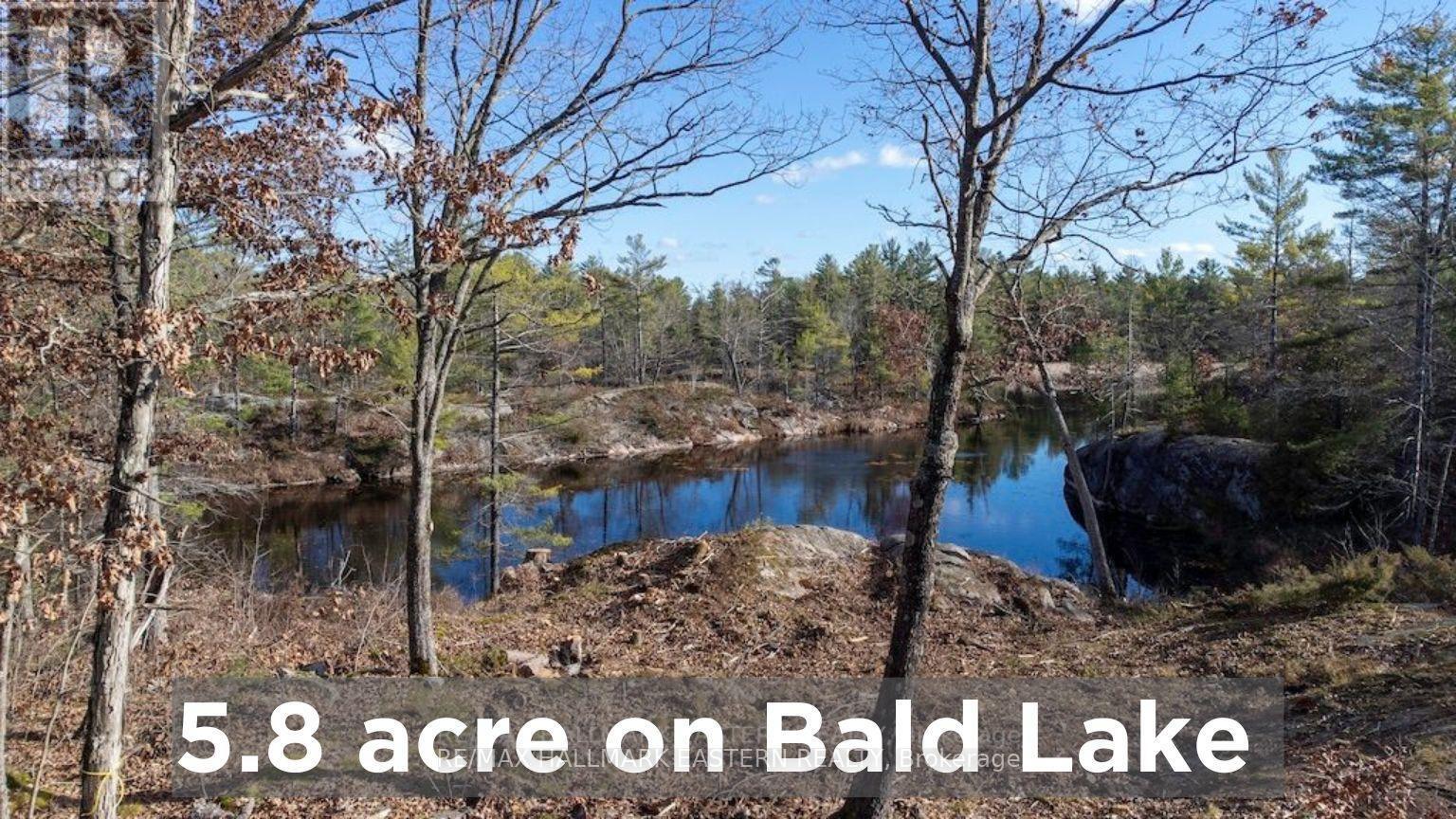12 Fire Route 79B, Trent Lakes, ON for Sale