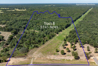 Mineola, TX Commercial - Tract B Hwy 69 hwy