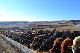 Hwy 25 And 30th St SW  