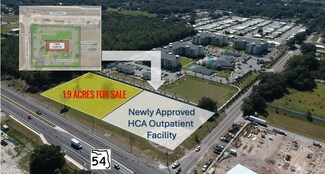 Wesley Chapel, FL Commercial Land - 0 State Road 54 Wesley Chapel, FL Commercial Land - 0 State Road 54