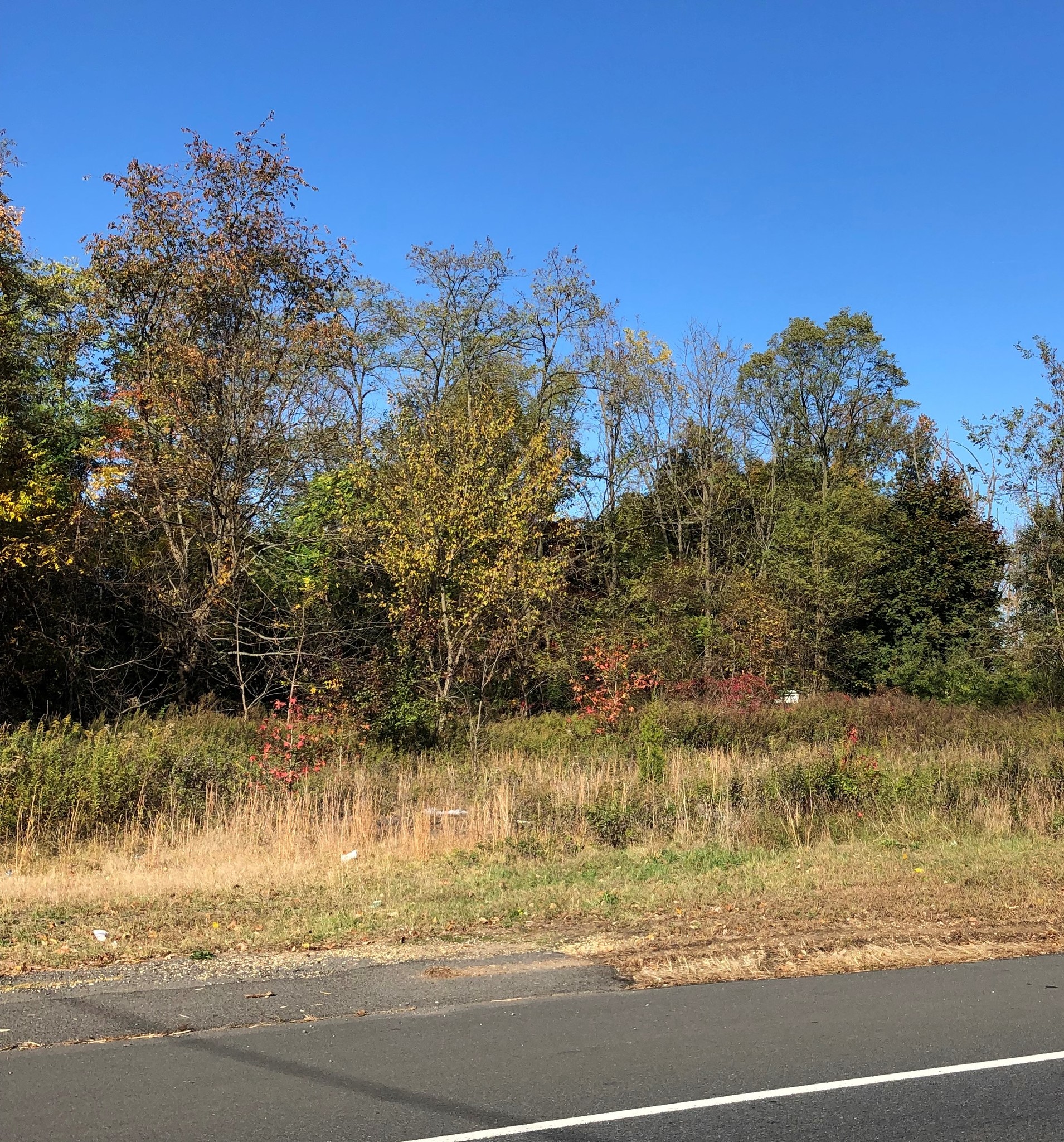 2063-2065 US Route 130, Monmouth Junction, NJ for Sale