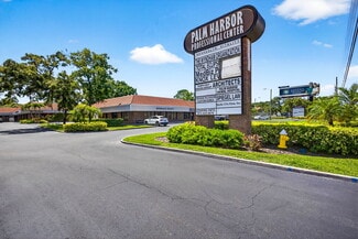 Palm Harbor, FL Office, Office/Medical - 36310-36472 Us Hwy 19 N