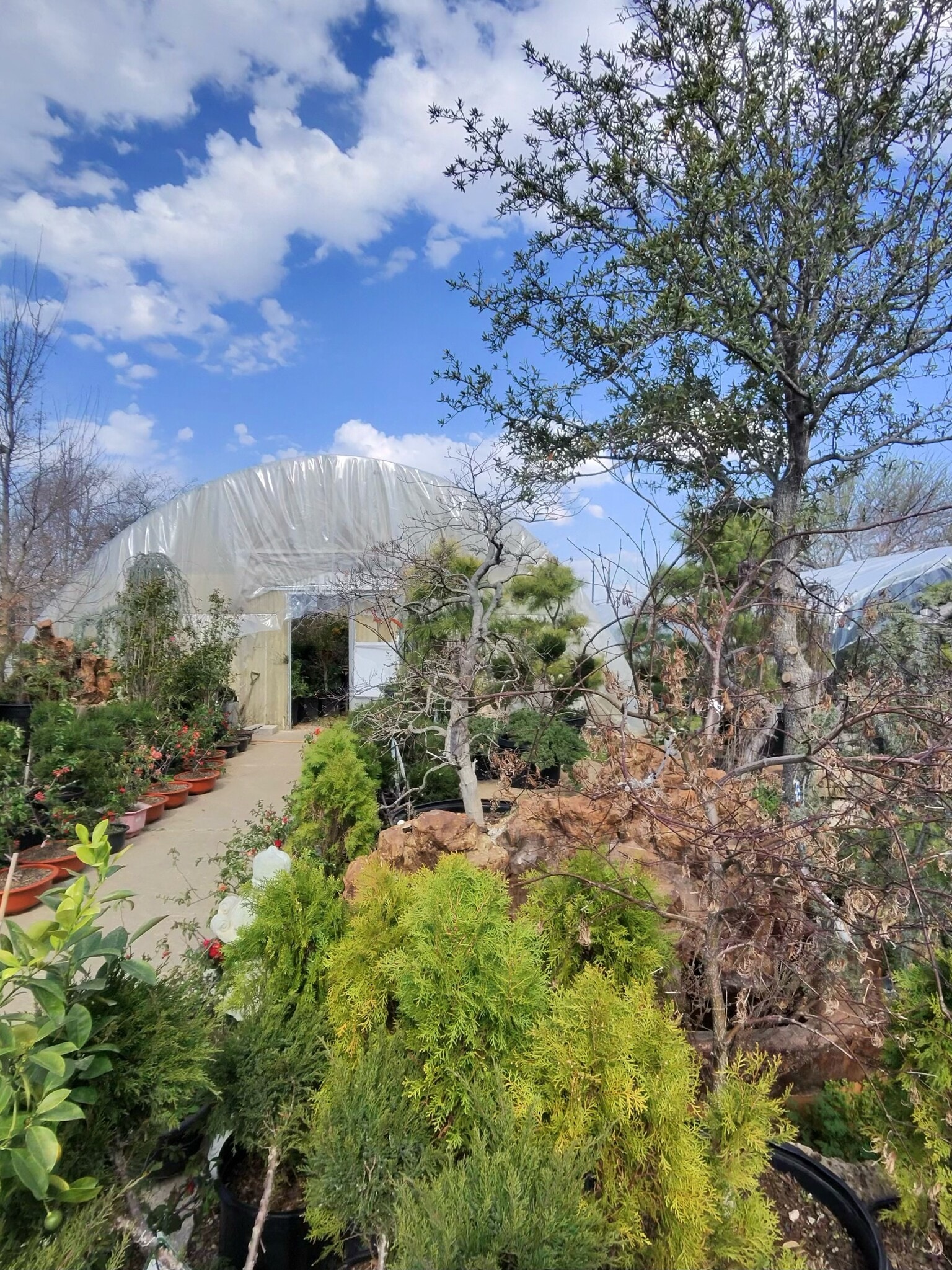 4022 Broadway Blvd, Garland, TX for Sale