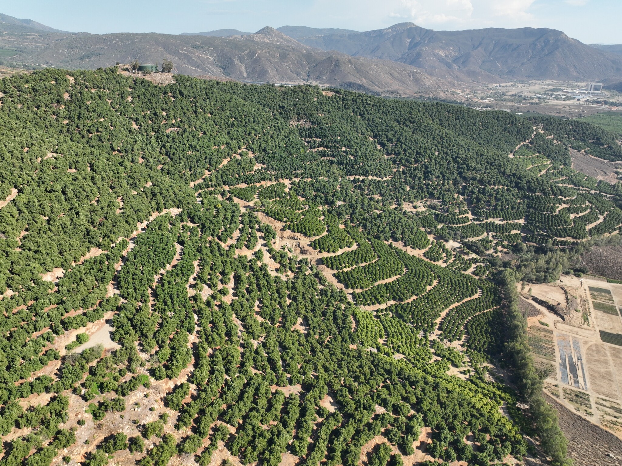 Avenida de Las Estrellas Ave, Pauma Valley, CA for Sale