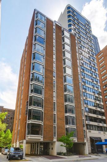 227 E Walton Pl, Chicago, IL for Sale