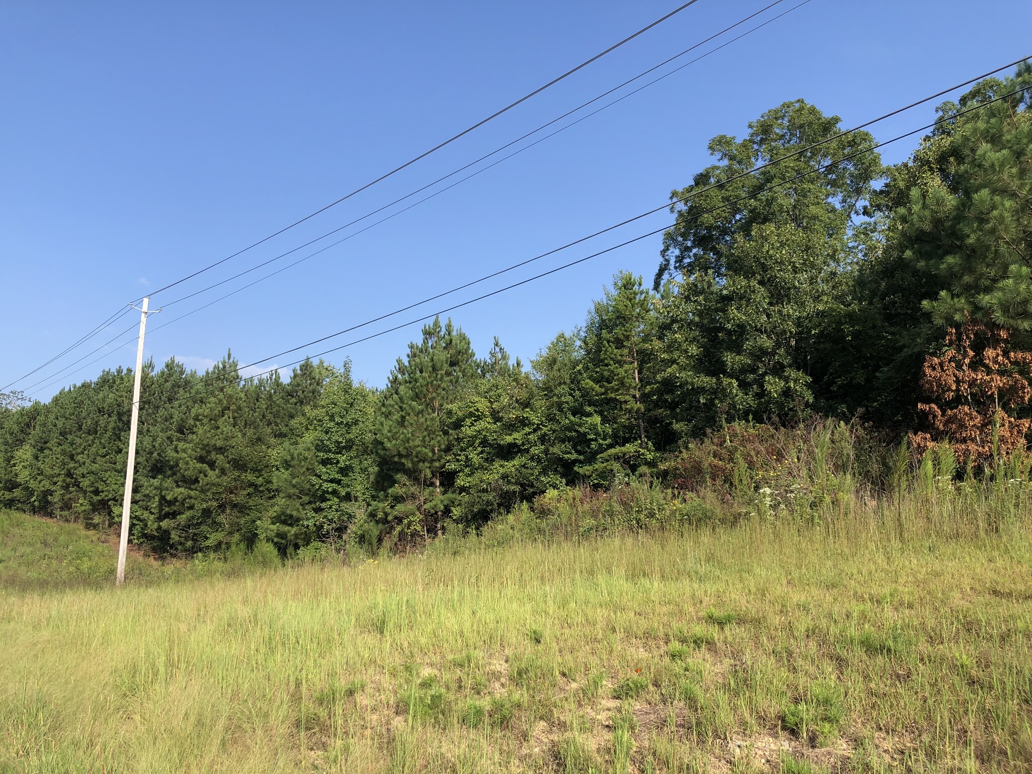 Highway 20, Cartersville, GA for Sale