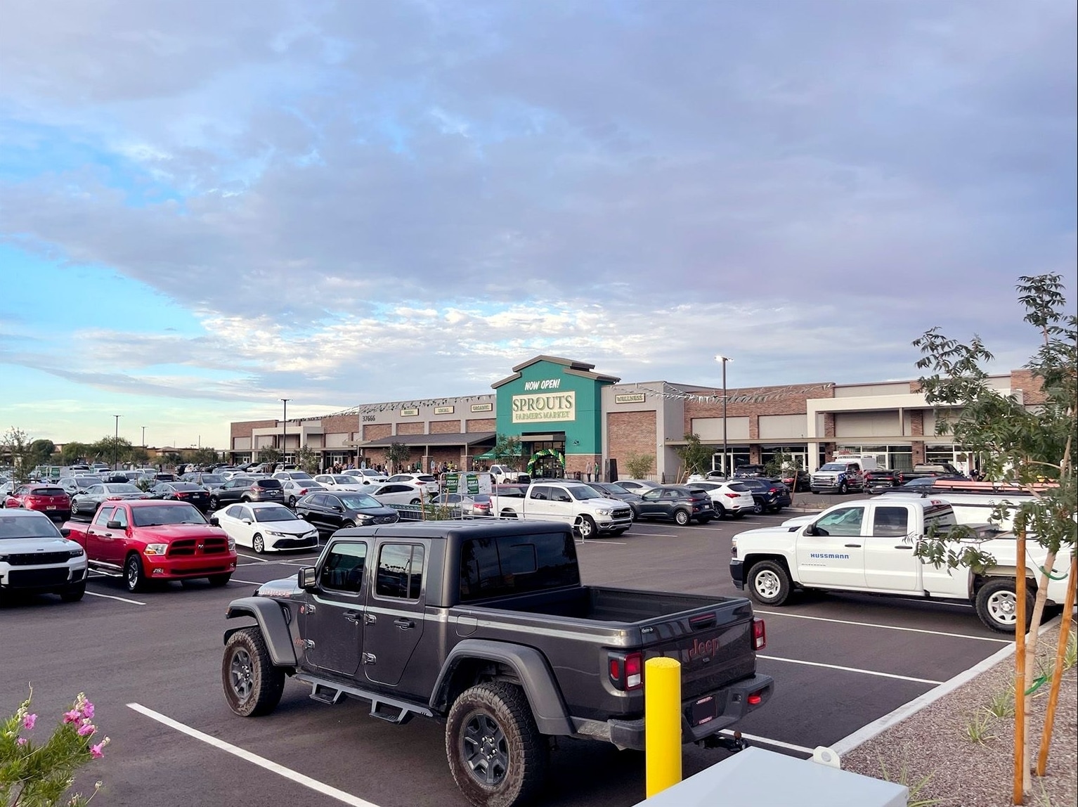 37566 N Gantzel Rd, Queen Creek, AZ for Rent