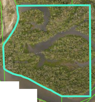 Parrish, FL Agricultural Land - 136th Street Parrish