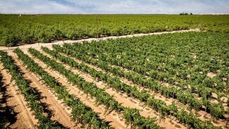 Denair, CA Agricultural - 18236 E Keyes Rd