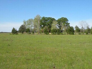 Hineston, LA Commercial Land - TBD Louisiana 121 Hineston, LA Commercial Land - TBD Louisiana 121