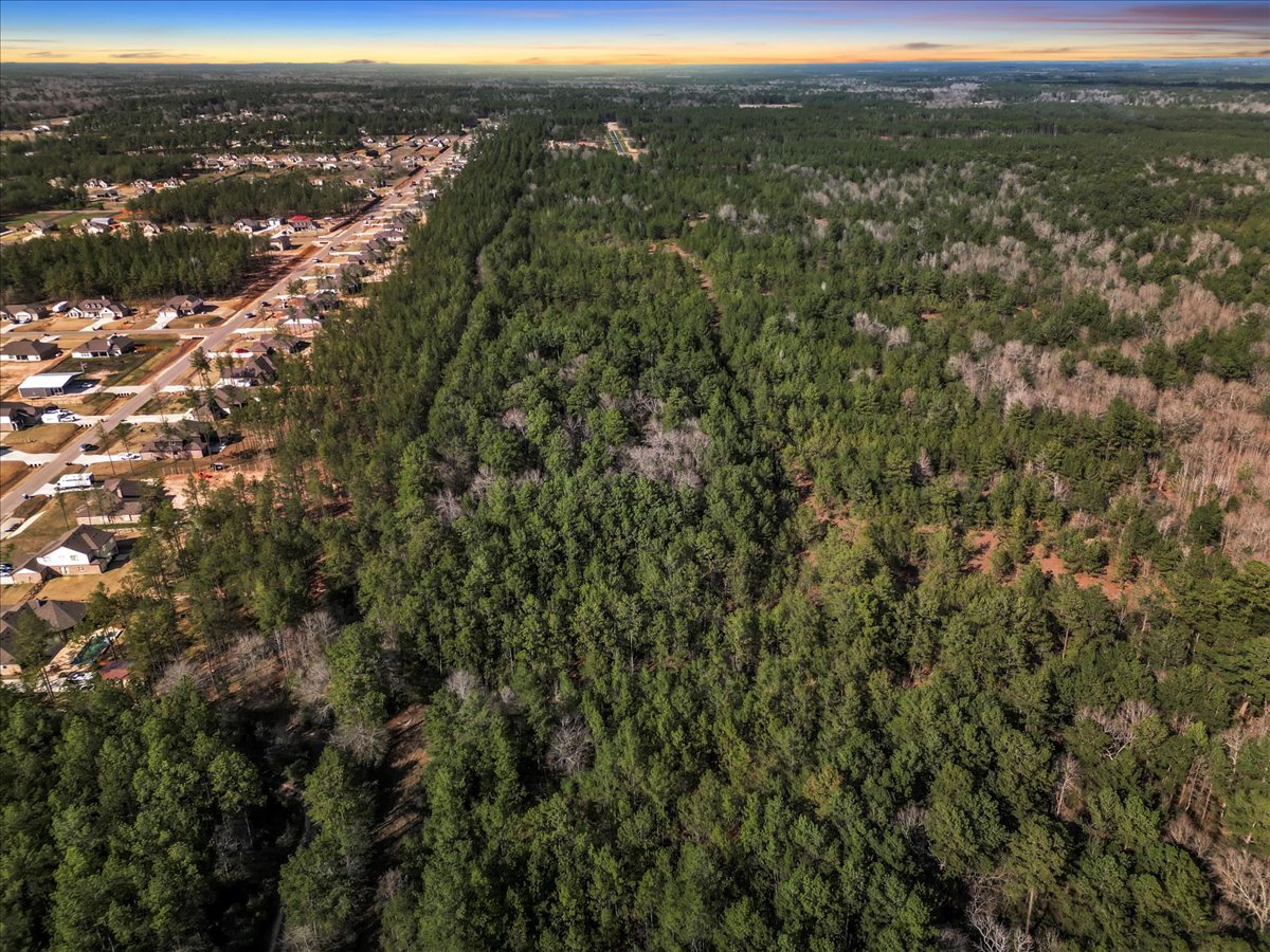 A0186 DEASE CONLEY TRACT 12 ACRES 20, Conroe, TX for Sale