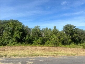 Leesburg, FL Residential - Redtree Dr @ Frog Log Ln