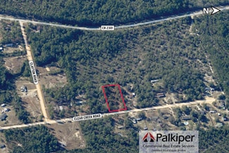 Youngstown, FL Agricultural - 12723 Clear Creek Rd