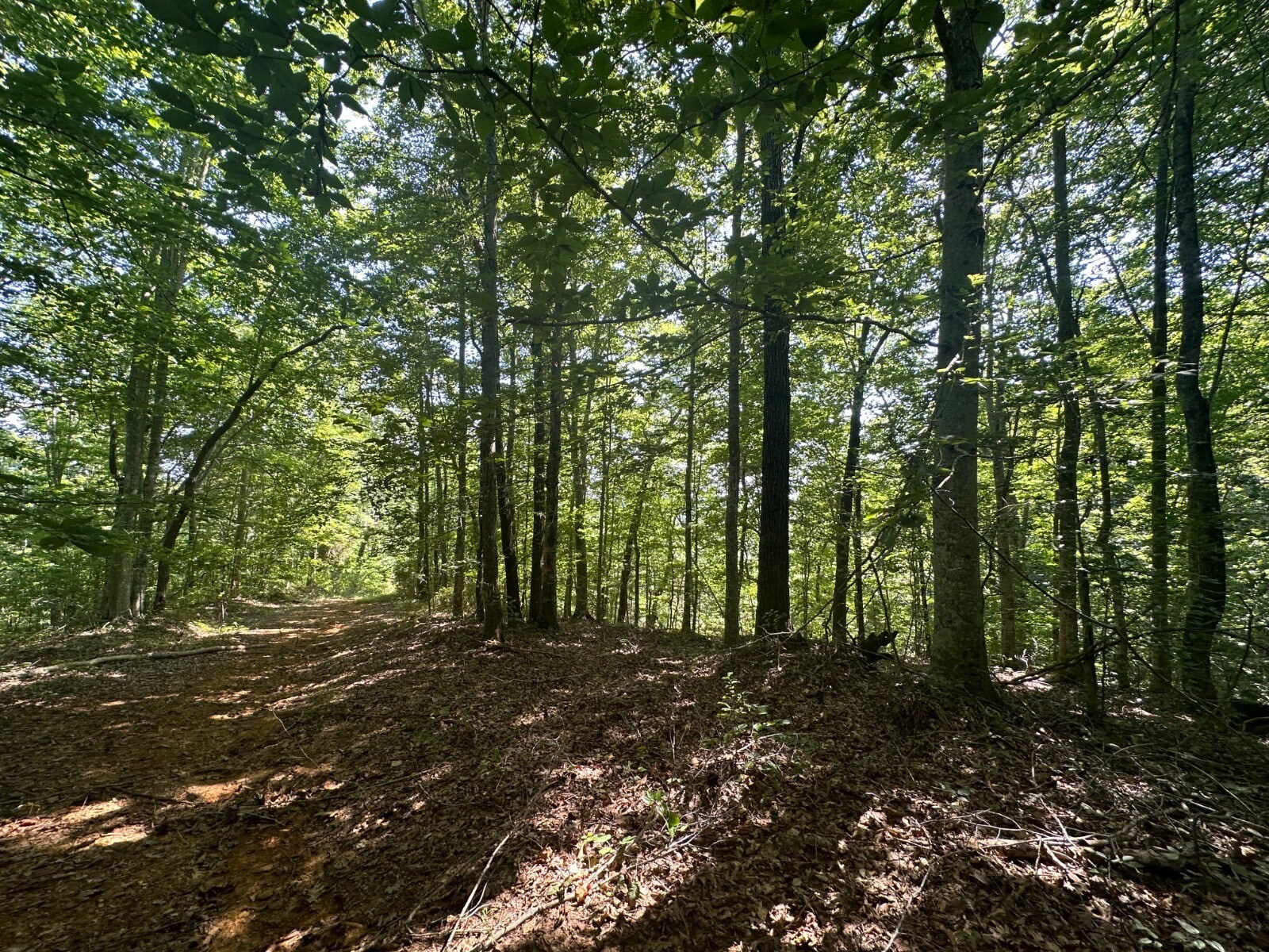 0 Rudge Rd, Burkesville, KY for Sale