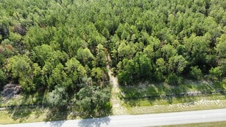 Cross City, FL Agricultural - NE 353 Hwy