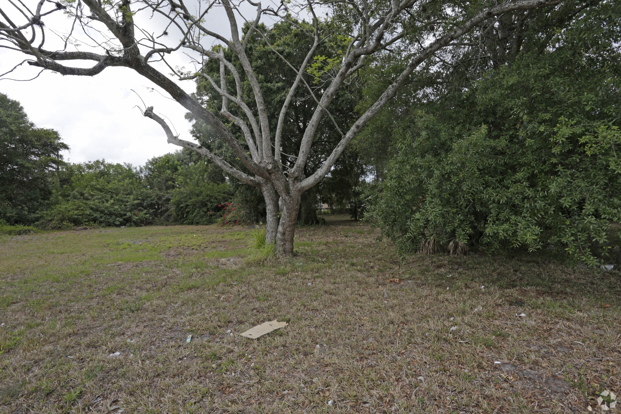 2428-2450 Fruitville Rd, Sarasota, FL for Sale
