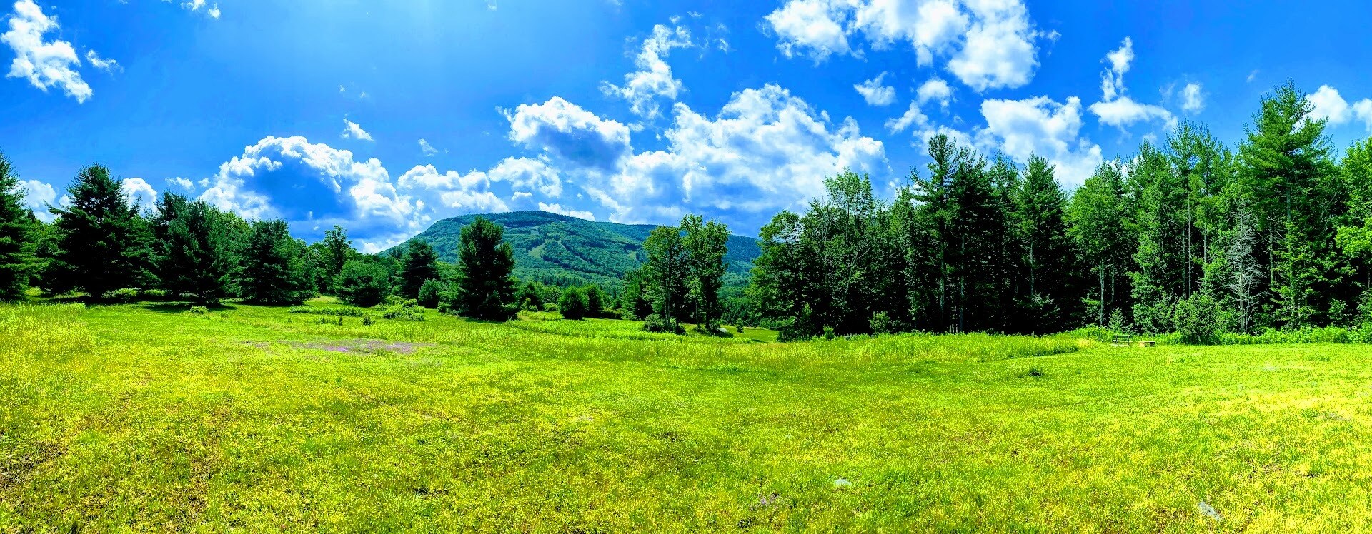 8444 Route 23a, Hunter, NY for Sale