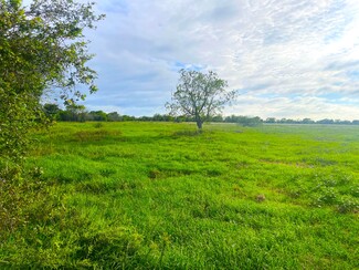 Damon, TX Agricultural - 0- TRACT 4 COUNTY ROAD 25 -1