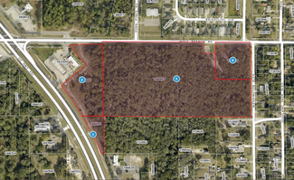 Mount Dora, FL Commercial Land - Wolf Branch Rd @ US Highway 441