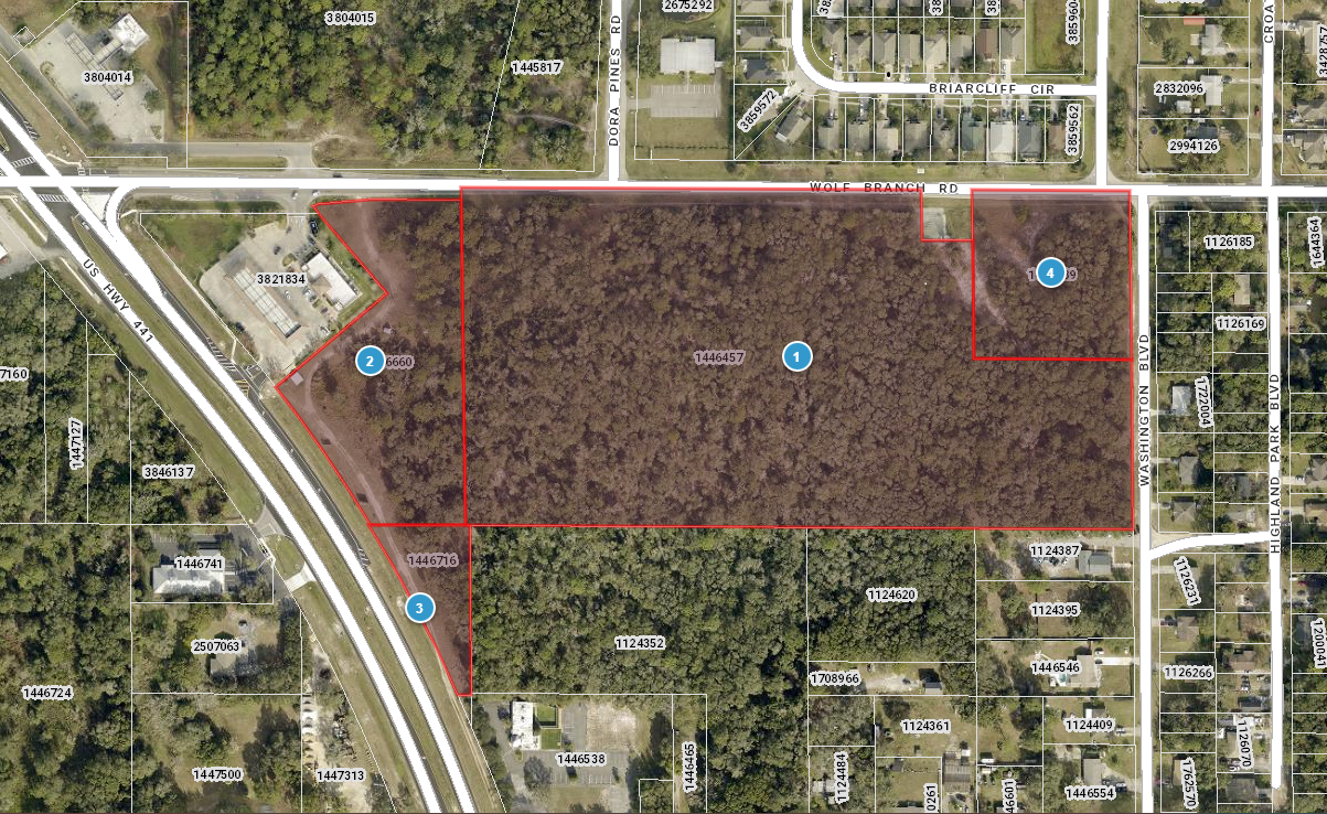 Wolf Branch Rd @ US Highway 441, Mount Dora, FL for Sale