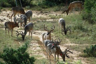 Mullin, TX Agricultural - 1681 FM 574 W