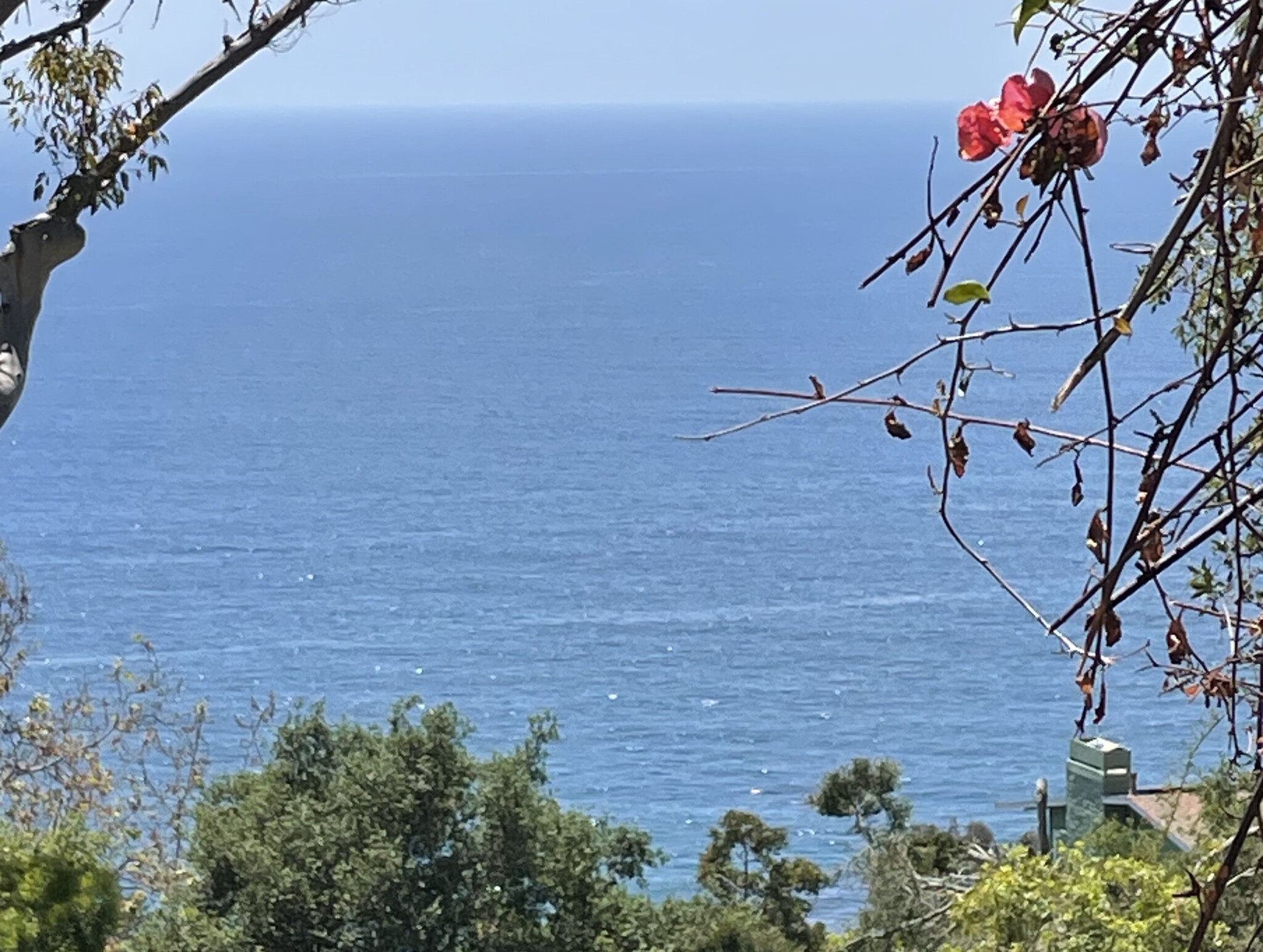 410 Alta Vista Way, Laguna Beach, CA for Sale