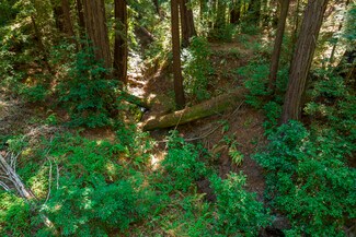 Scotts Valley, CA Commercial Land - 2372 McKenzie Creek rd