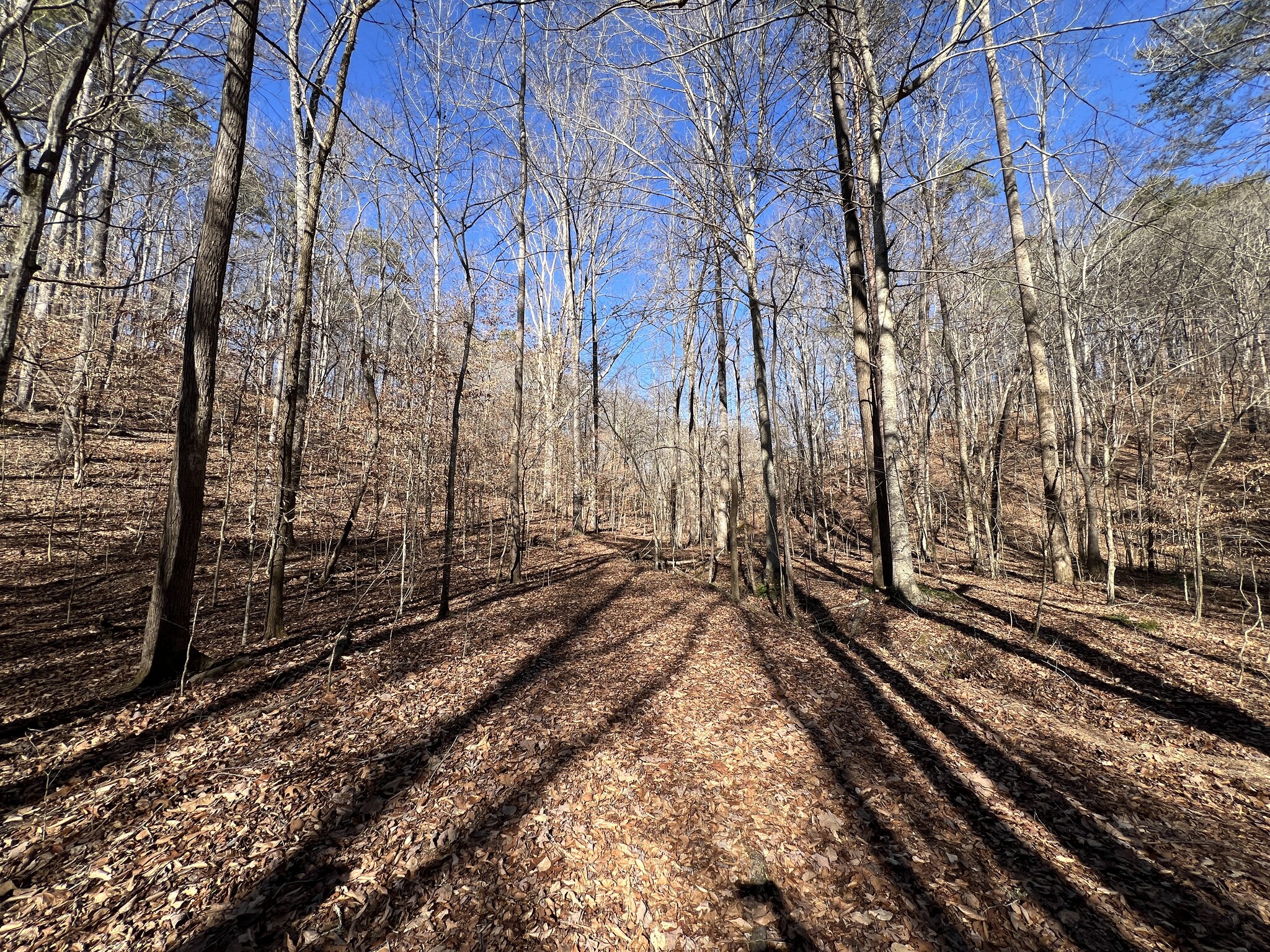peachtree road, Rockmart, GA for Sale