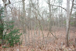 Egg Harbor Township, NJ Commercial Land - 6519 Black Horse Pike