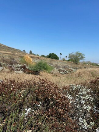 Riverside, CA Residential Land - Collett Avenue and Pierce Street